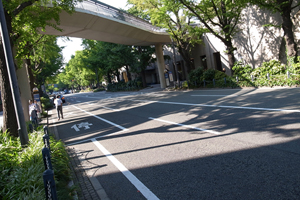 100917 3 RIMG2904.jpg